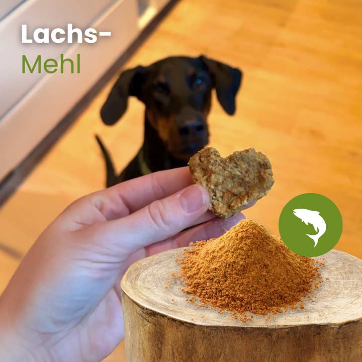 Kauartikel.com GmbH - Wholesale Pet Food - Dog - Salmon flour1