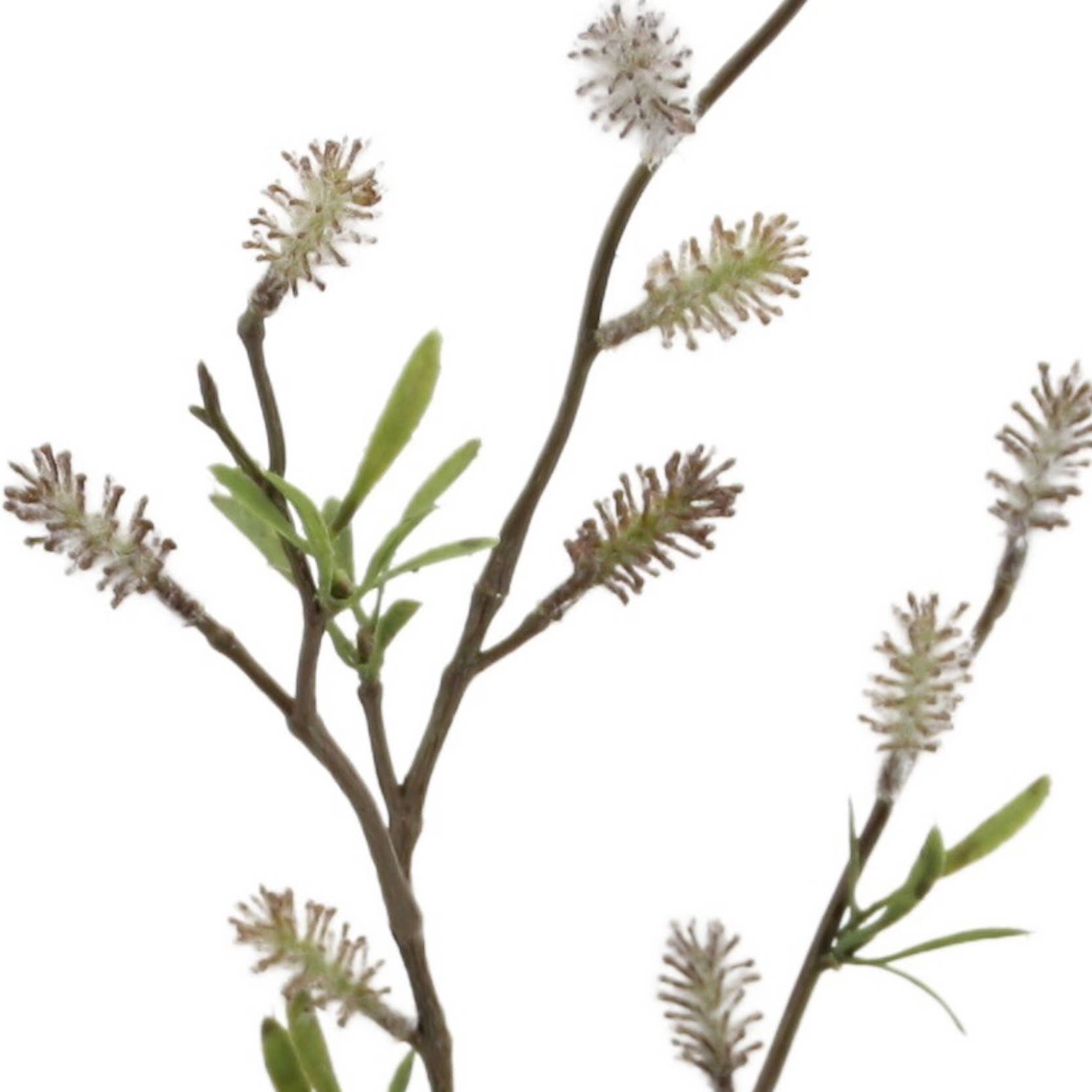 Floratexx - Wholesale Artificial flowers - Willow kitten branch 73 cm gr-cream1