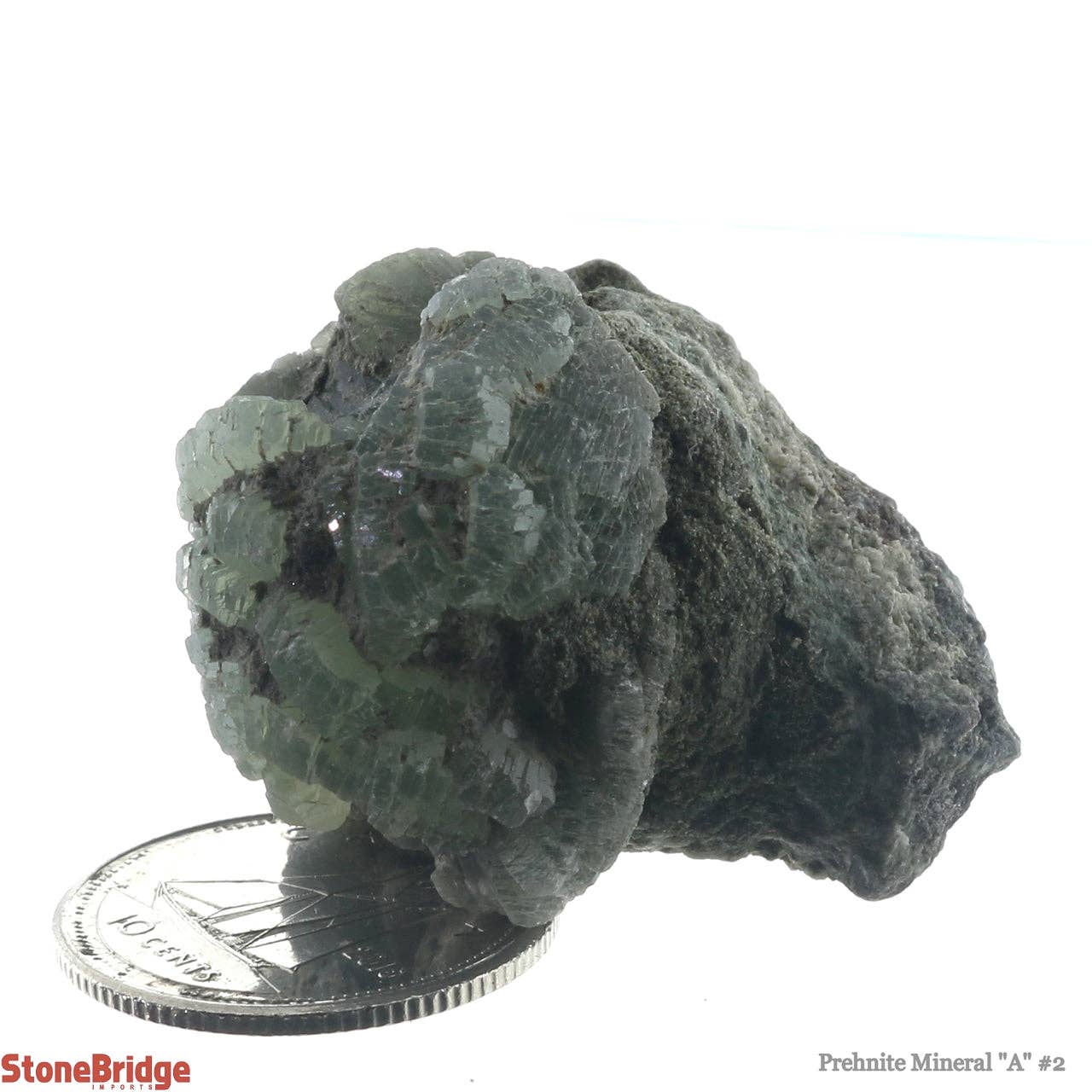 Stonebridge Imports - Vendita all'ingrosso Pietra/cristallo spirituale - Prehnite A Mineral #2 - da 12 g a 20 g3