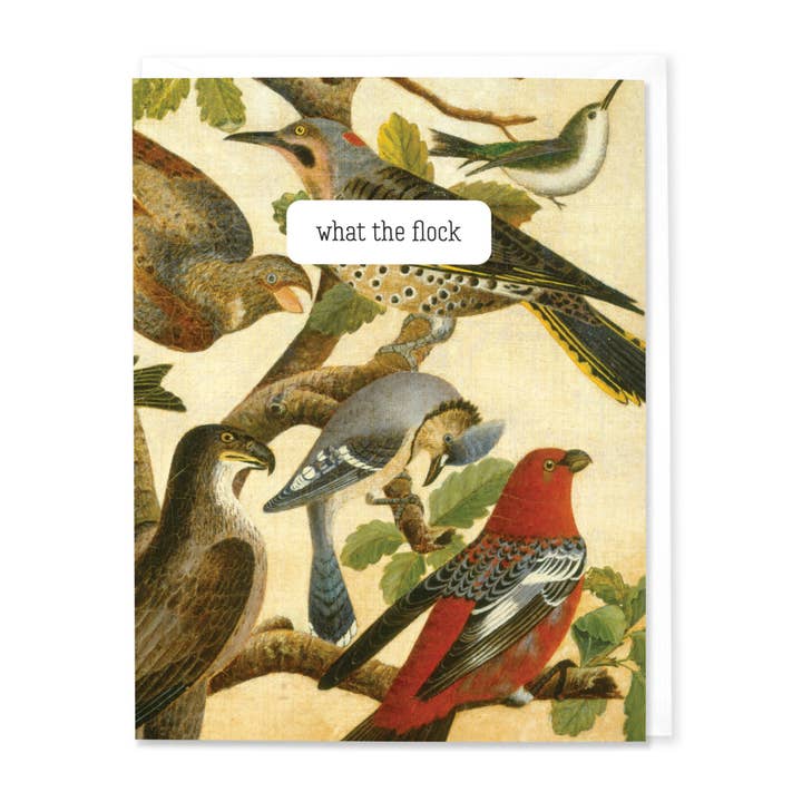 Hitchcock Paper Co. - Wholesale Everyday Greeting Card - What the Flock
