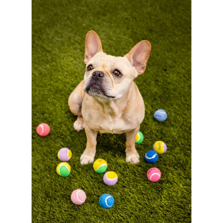 Midlee Designs - Wholesale Pet Fetch Ball - Dog - Midlee Yellow/Green Mini Tennis Balls Set of 12