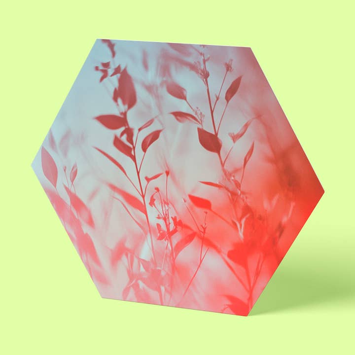 Cornflower Hexagon Wall Art for wholesale by reetro