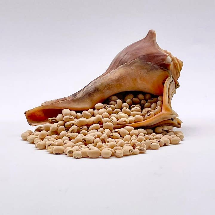Carolina Conch Peas 12.5 lb for wholesale by Marsh Hen Mill