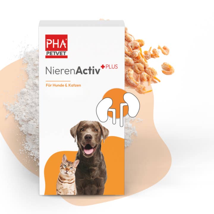 PHA KidneyActiv PLUS pour chiens et chats 60 g pour la vente par Kauartikel.com GmbH