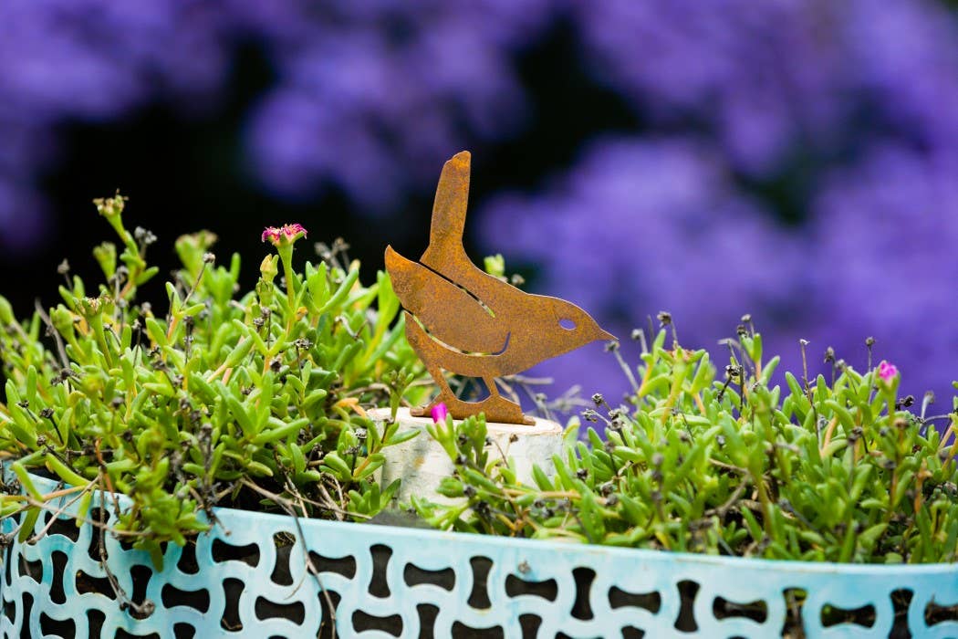 Elegant Garden Design - Vendita all'ingrosso Ornamenti/decorazioni per esterni - Scheda Scricciolo Invernale5