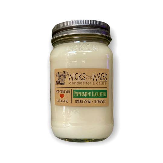 Peppermint Eucalyptus | Large Mason Jar Soy Candle for wholesale by Wicks for Wags