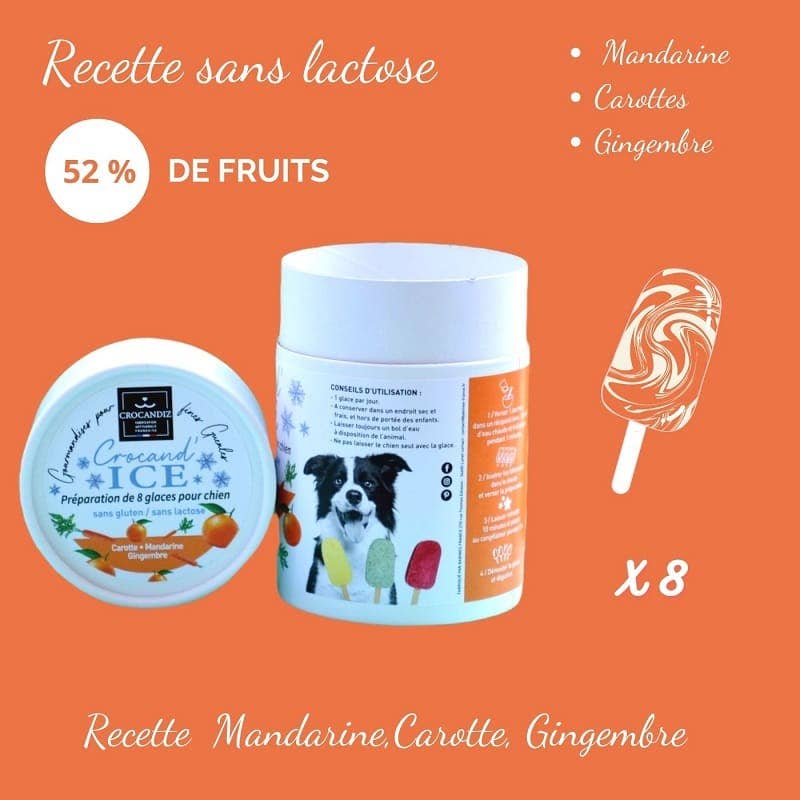 Crocandiz – snacks e guloseimas - Cão por atacado – Sorvete para cães de cenoura e tangerina2