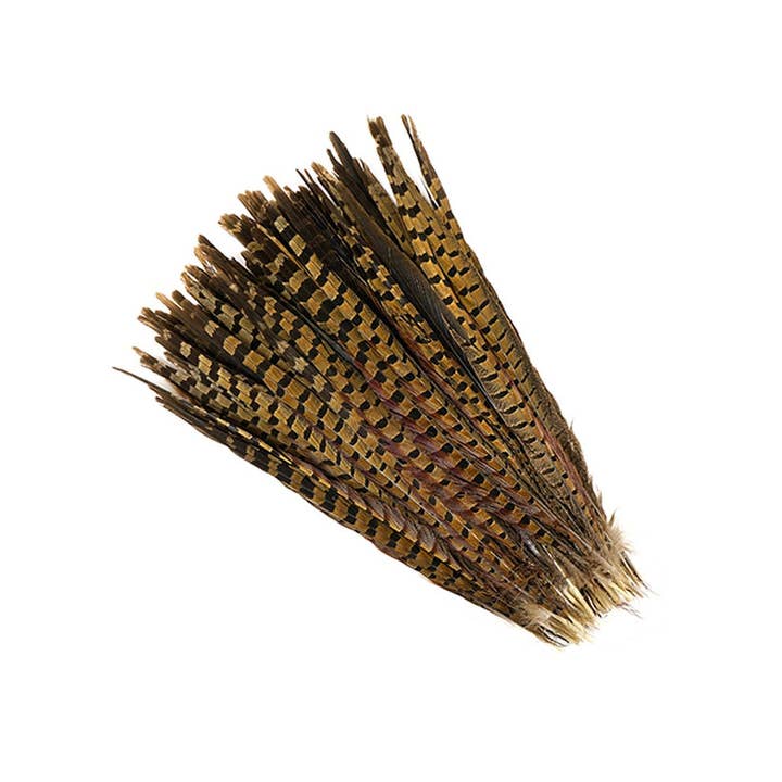 Zucker Feather Products - Wholesale Craft Supplies - 10 PC/PKG Ringneck Pheasant Tails 14-16" - Natural