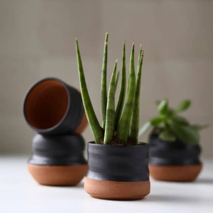 Gravesco Pottery – wholesale Kruka – Blandade små planteringskrukor | 2 tum handgjord keramik