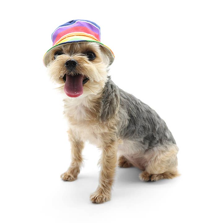 Bucket Hat Rainbow for wholesale by Dogo Pet