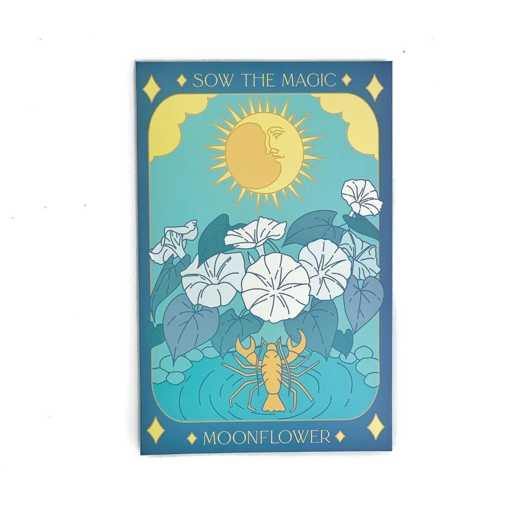 Sow the Magic - Wholesale Zaadjes voor platten - Maanbloem (Verzending niet naar AZ) Tarot Zaadpakket2