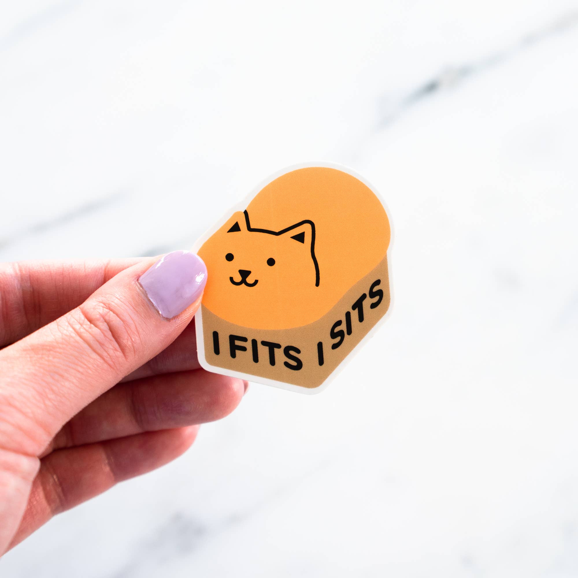 Everyday Olive - Vente Autocollant - Autocollants Orange Cat2