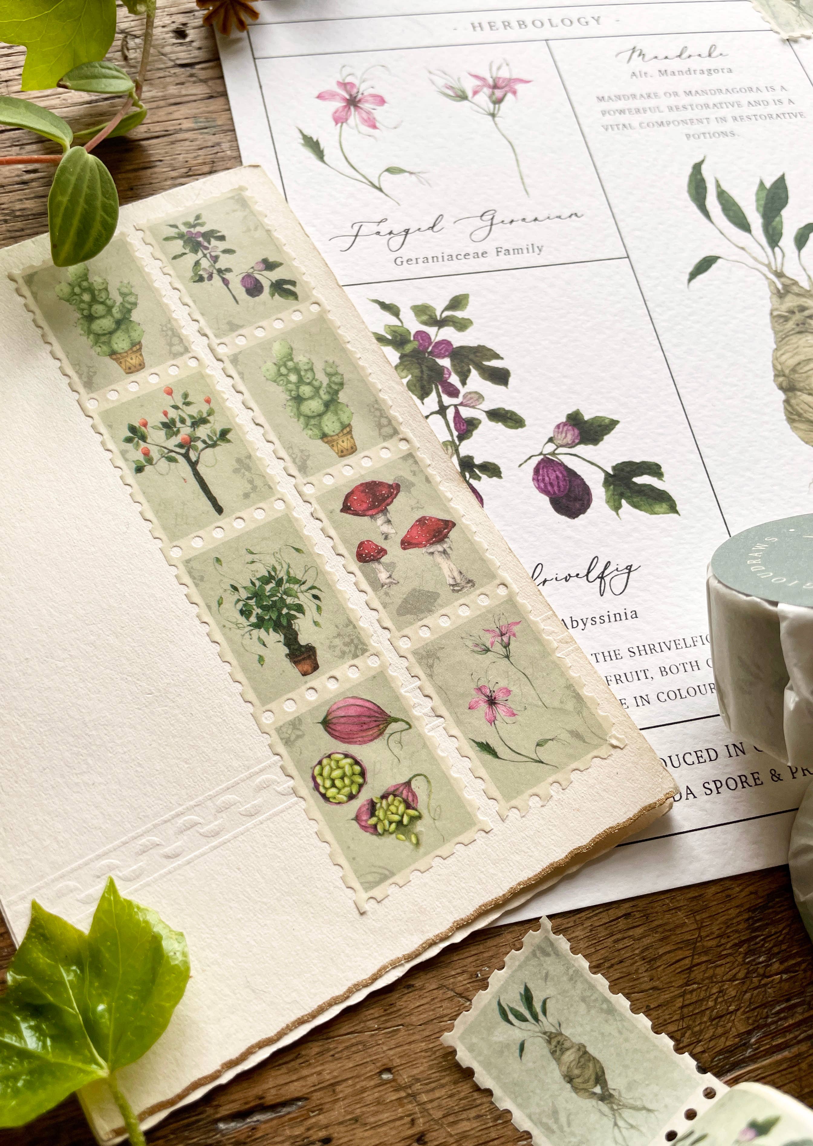 Georgiou Draws - Wholesale Washi Tape - Magical Botanical Herbology Stamp Washi Tape1