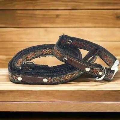 Finnigan's Regal Pup Collar Set for wholesale by Finnigan