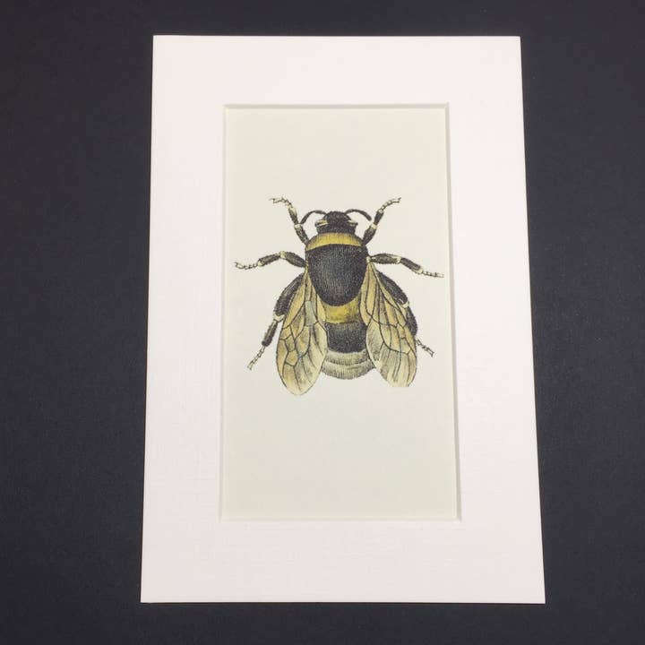 Vintage Bee Print 7x5" for wholesale by So Fun Designs
