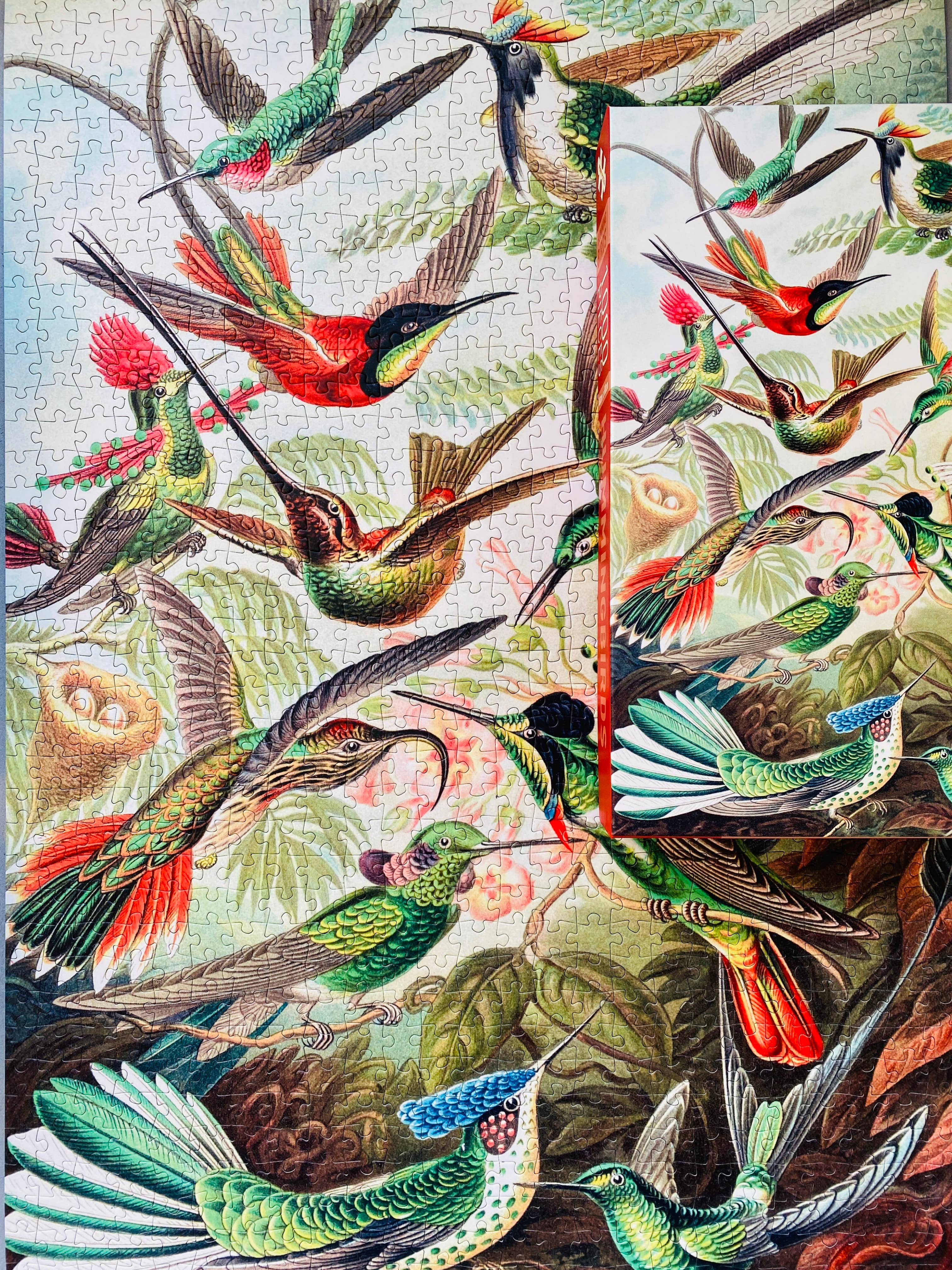 Penny Puzzle - Wholesale Puzzle - Adult - Hummingbirds 1000 piece Vintage jigsaw puzzle8