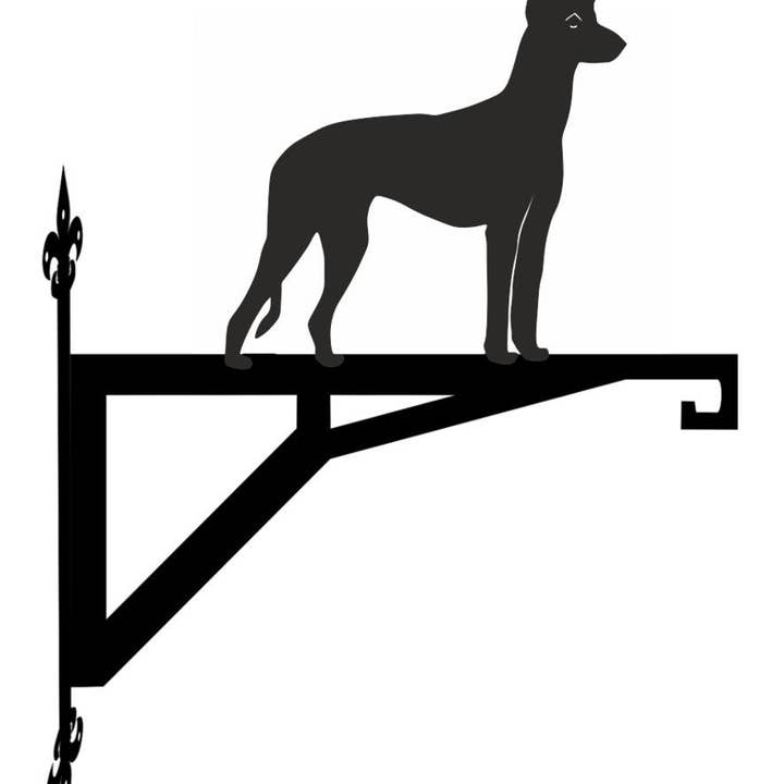 Staffa da appendere moderna e contemporanea Ibizan Hound per la vendita all'ingrosso da parte di Steel Images