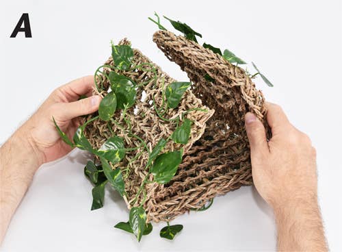 Penn-Plax - Wholesale Pet Toy - Cat/Dog - Reptology Lizard Lounger Hanging Hideout with Vines2