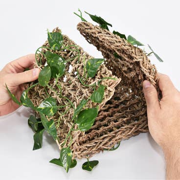 Penn-Plax - Wholesale Pet Toy - Cat/Dog - Reptology Lizard Lounger Hanging Hideout with Vines2