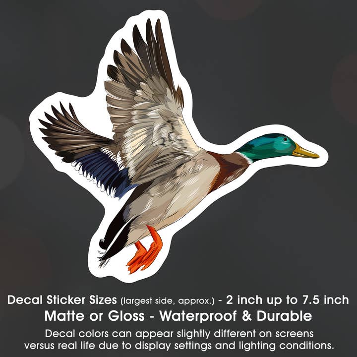 Mallard Duck Flying Artistic Design Bumper Decal Sticker for wholesale by Groovy Giftables