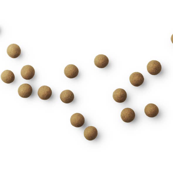 Lakrids by Bülow - Wholesale Chocolate Covered Sweets - A – The Original - Danish Chocolate Covered Licorice
