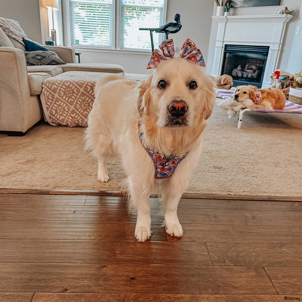 SASSY WOOF - Wholesale Pet Harness - Dog - Dog Adjustable Harness - Disney's Jasmine7