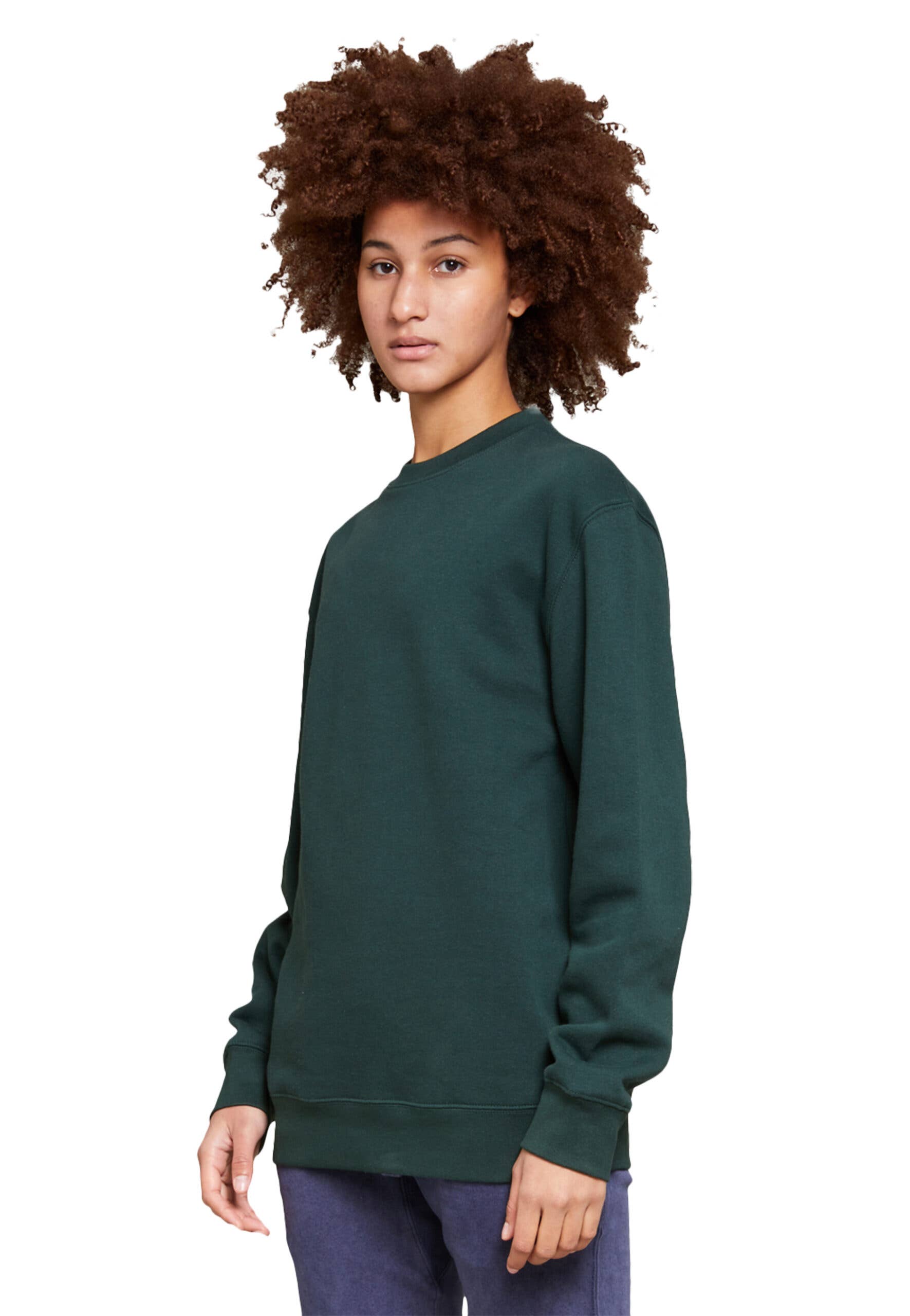 Lane Seven Apparel - Wholesale Sweatshirt - Unisex - Premium Crewneck Sweatshirt - For Men & Women52