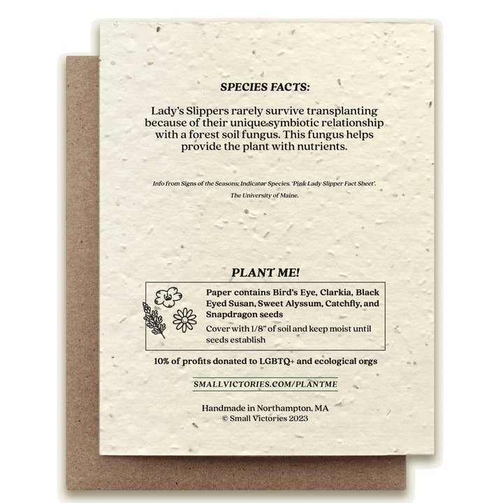 Small Victories - Wholesale Everyday Greeting Card - Lady's Slipper Plantable Wildflower Seed Card1