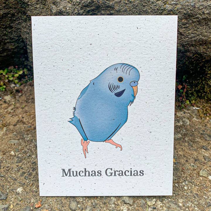 Muchas Gracias - Blue Parakeet for wholesale by Hakuna Matata Vibes