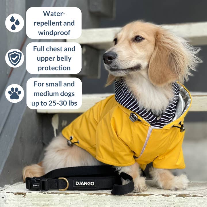 DJANGO - Wholesale Pet Raincoat - Dog - Highland Dog Jacket and Raincoat - Dandelion Yellow1