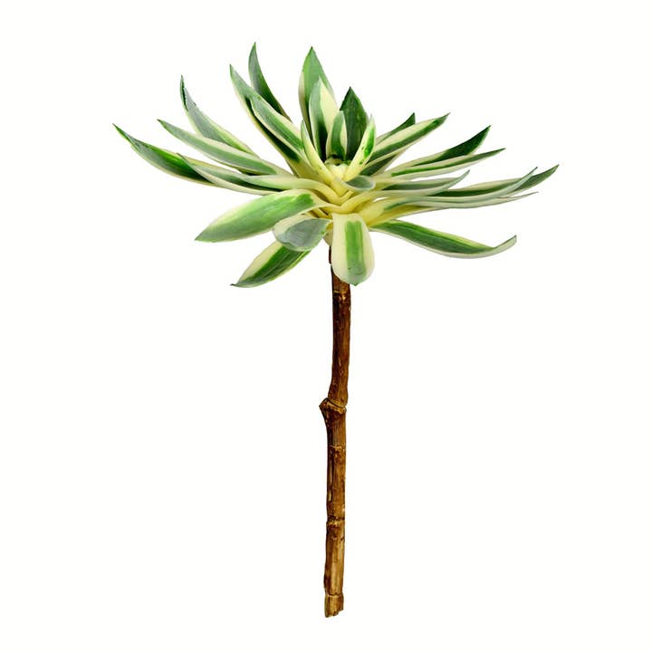 Vickerman 13" Green Succulent Spray 2 Pack for wholesale by Vickerman