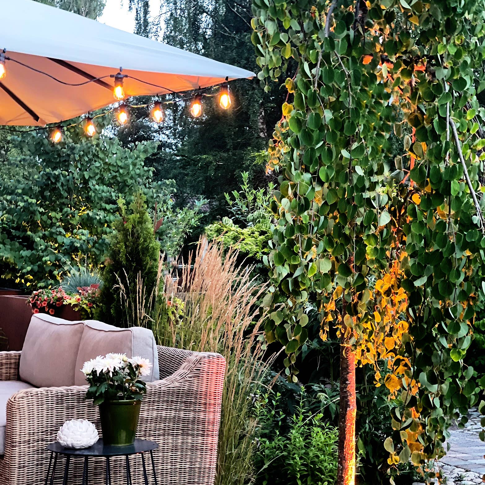 LightsOn - Wholesale Outdoor/Lawn Light - Deco bulb x 5, E27 12V (warm white)9