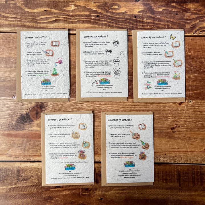 Les cartes de Lulu - Wholesale Thank You Card - Set of 3 x 5 seeded thank you/thank you cards1