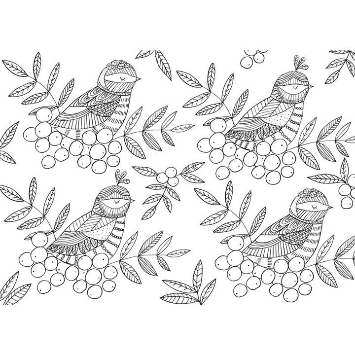 W. W. Norton - Wholesale Coloring & Activity Book - Adult - The Mindfulness Coloring Book3