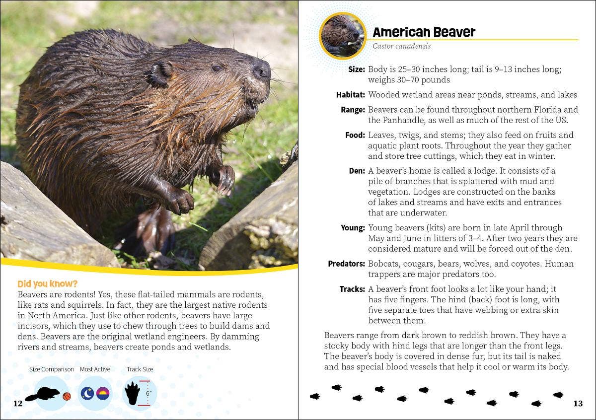 AdventureKEEN - Vente Nature & Outdoors - Guide de poche sur les créatures de Floride2