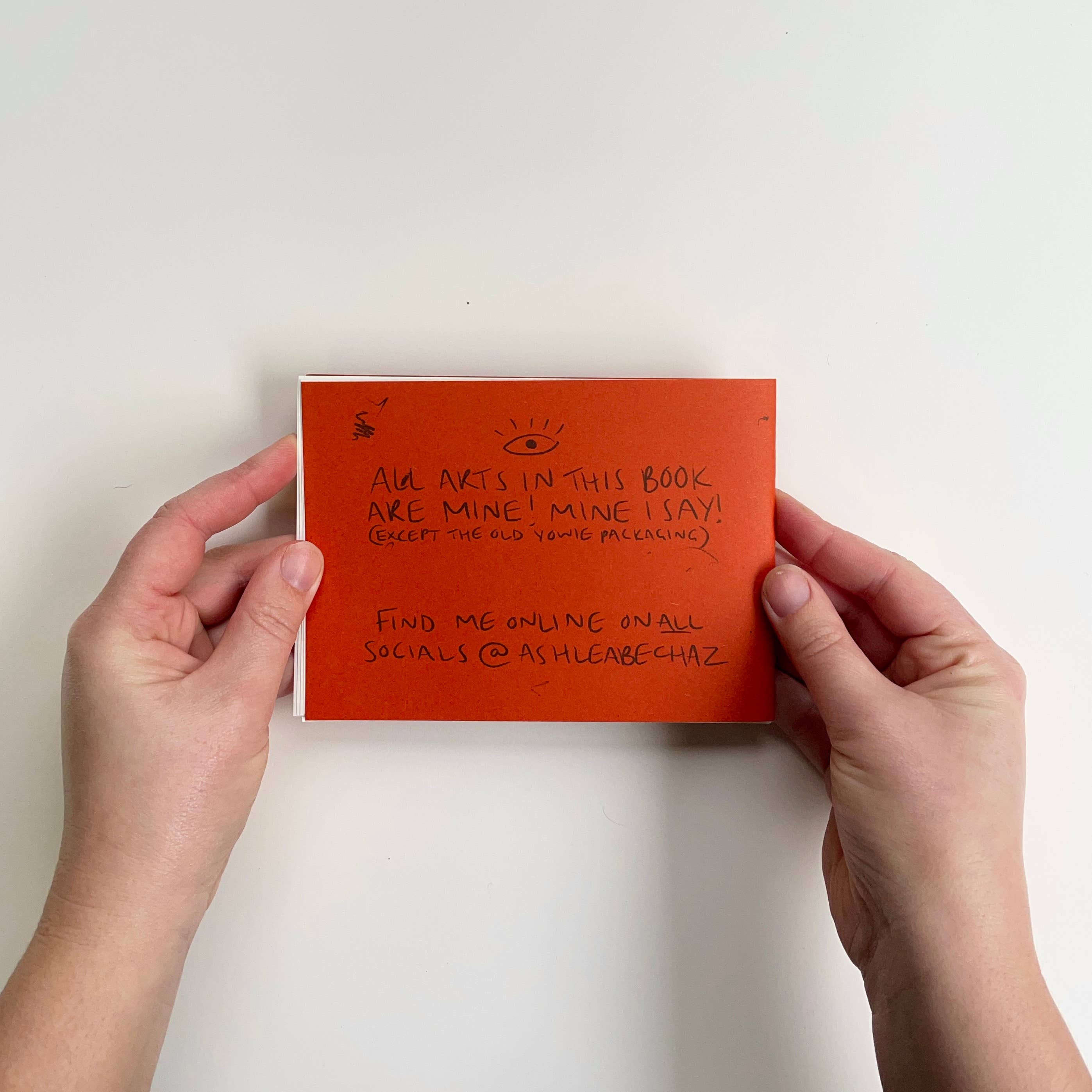 Ashlea Bechaz Illustration - Wholesale Magazine - Zine - Cryptids of Note8