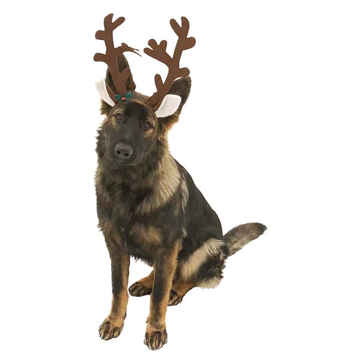 Midlee Designs - Wholesale Pet Costume - Dog - Midlee Brown Reindeer Dog Antlers Headband