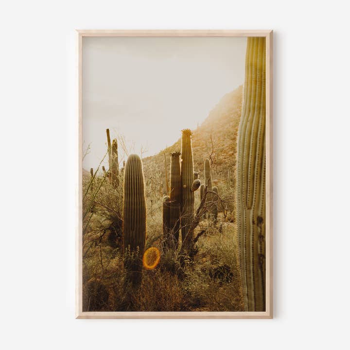 Saguaro Cacti Fine Art Matte Print (Unframed) for wholesale by The Weithouse Print Shop