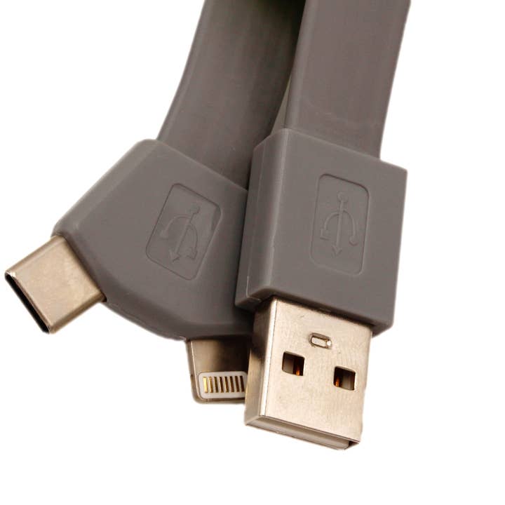 AceCamp - Wholesale Charging cable - Smart Charger - Lightning + USB C2