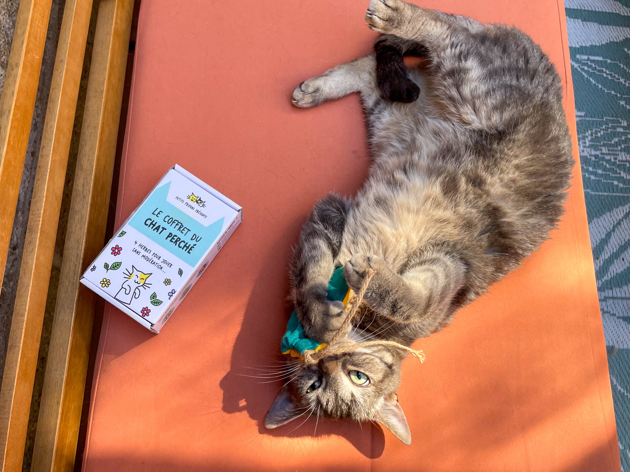 Petits Fripons - Wholesale Pet Toy - Cat - Cat herb discovery set5