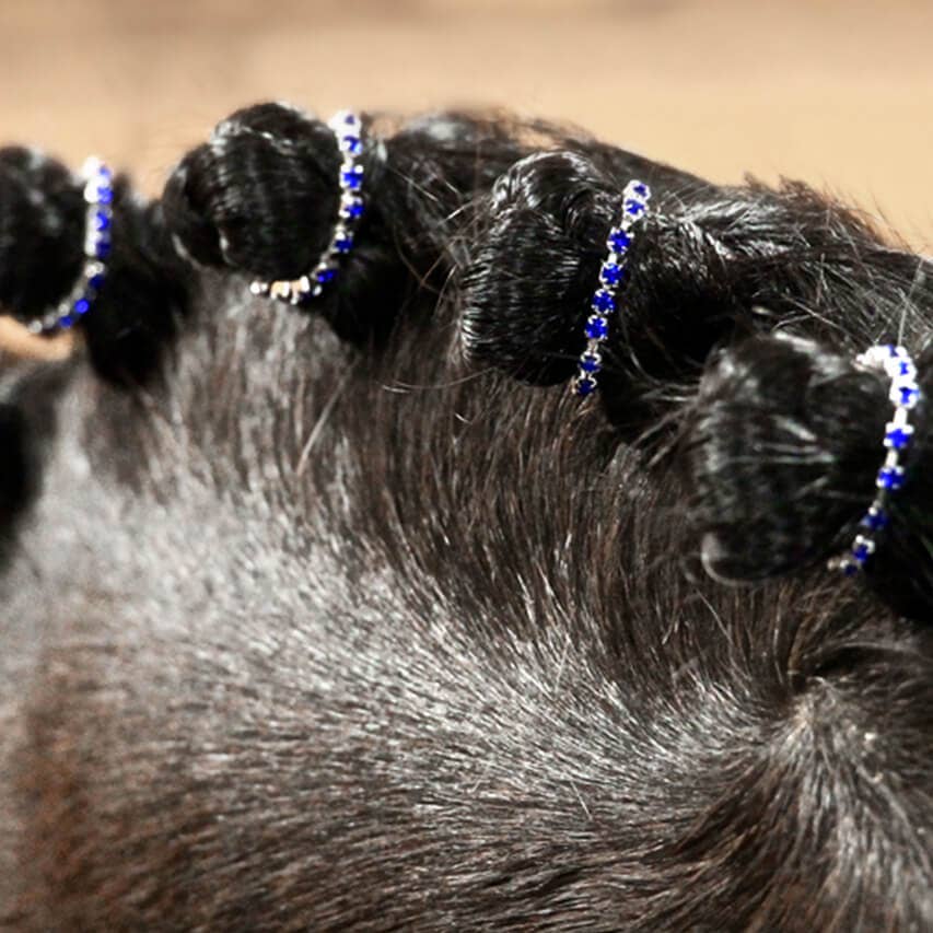 Spiced Equestrian - Wholesale Horseback Riding Gear - Rhinestone Braid Bling4