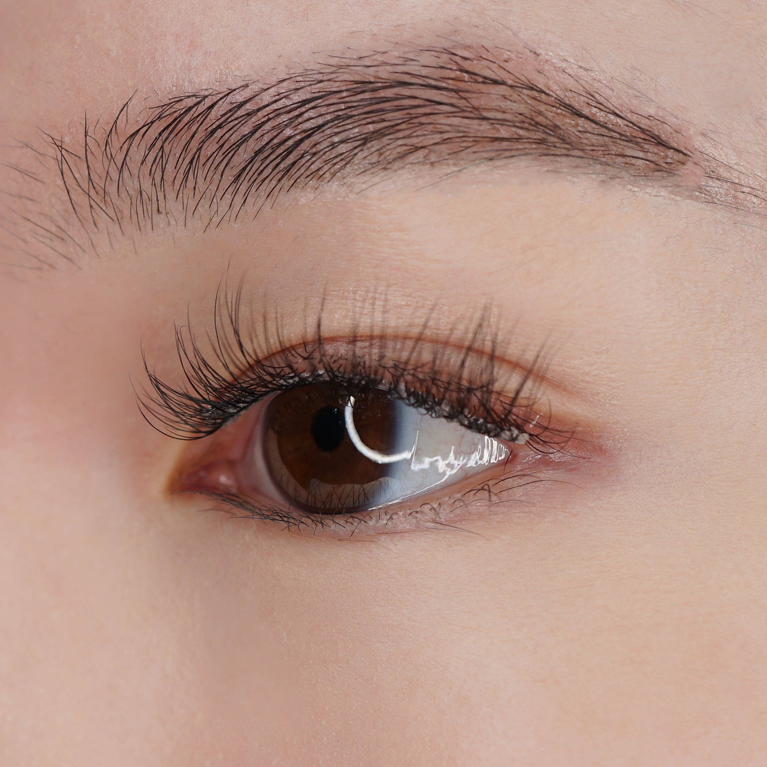 Kara Beauty – wholesale Lösögonfransar – Fabulashes Band Tredimensionella Faux Mink falska ögonfransar1