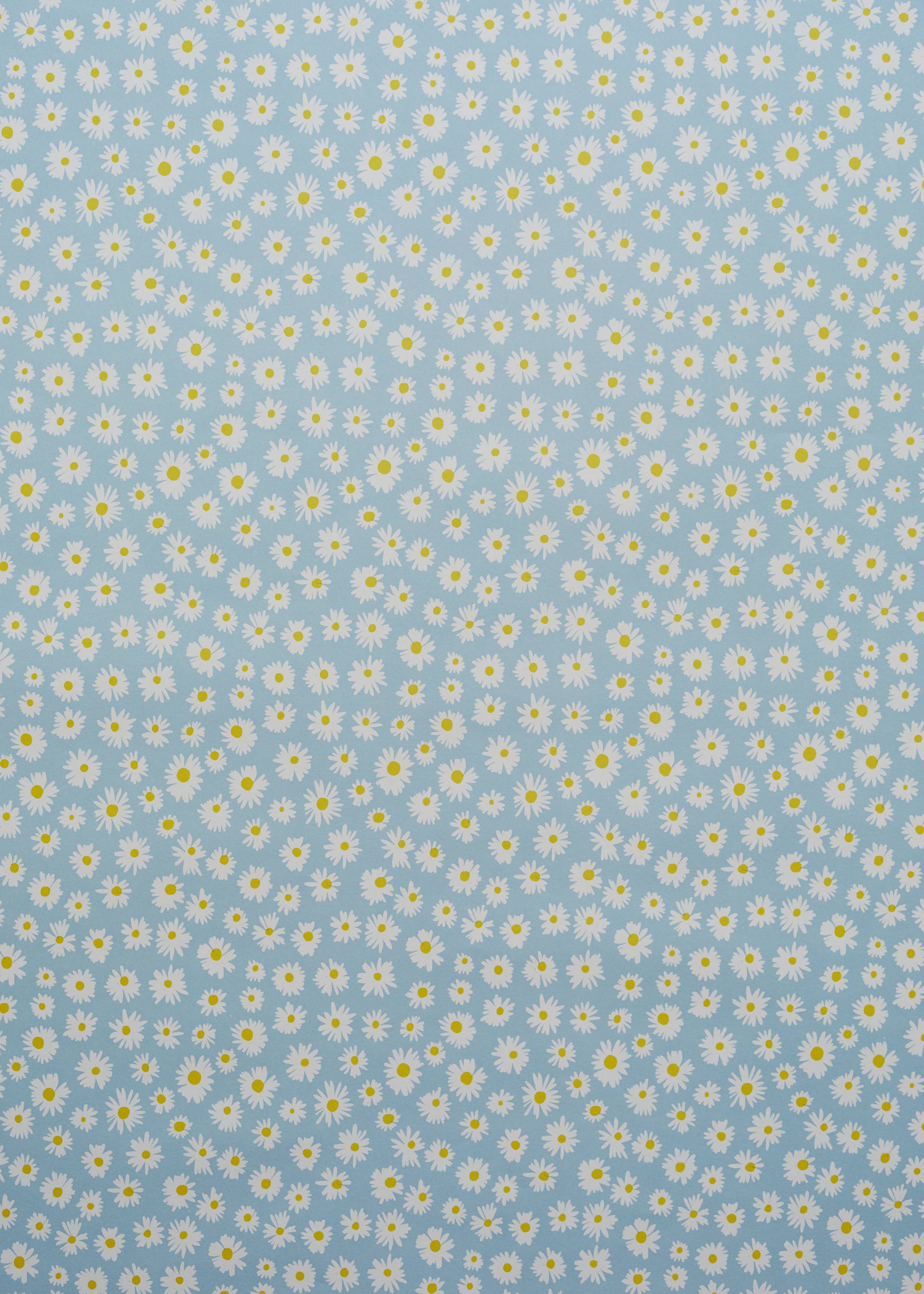 Heather Evelyn - Vente Feuille de papier cadeau - Emballage cadeau Daisy en bleu1