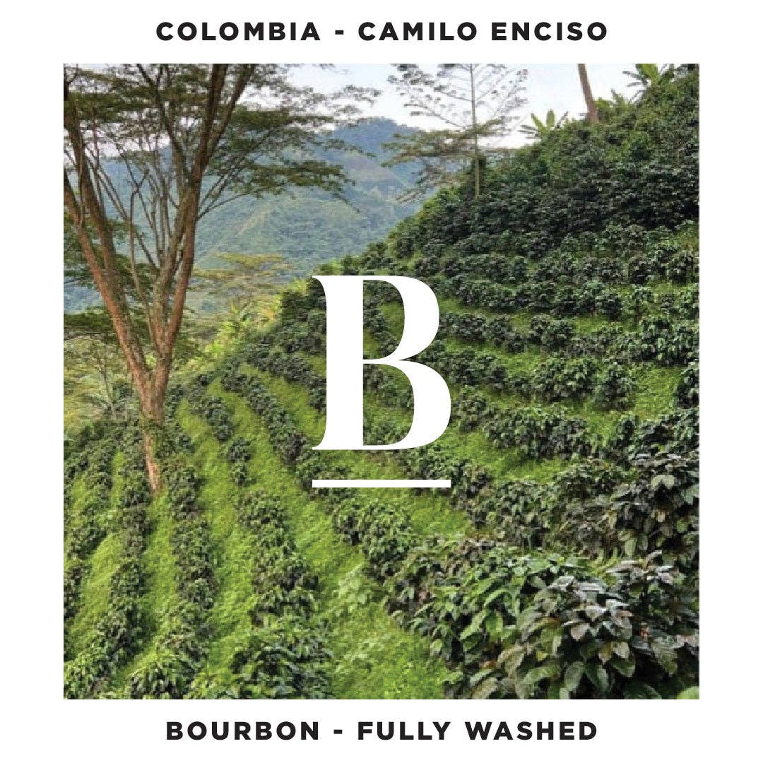 Blackboard Coffee Roasters - Wholesale Coffee beans - Roaster's Pick Espresso Coffee1