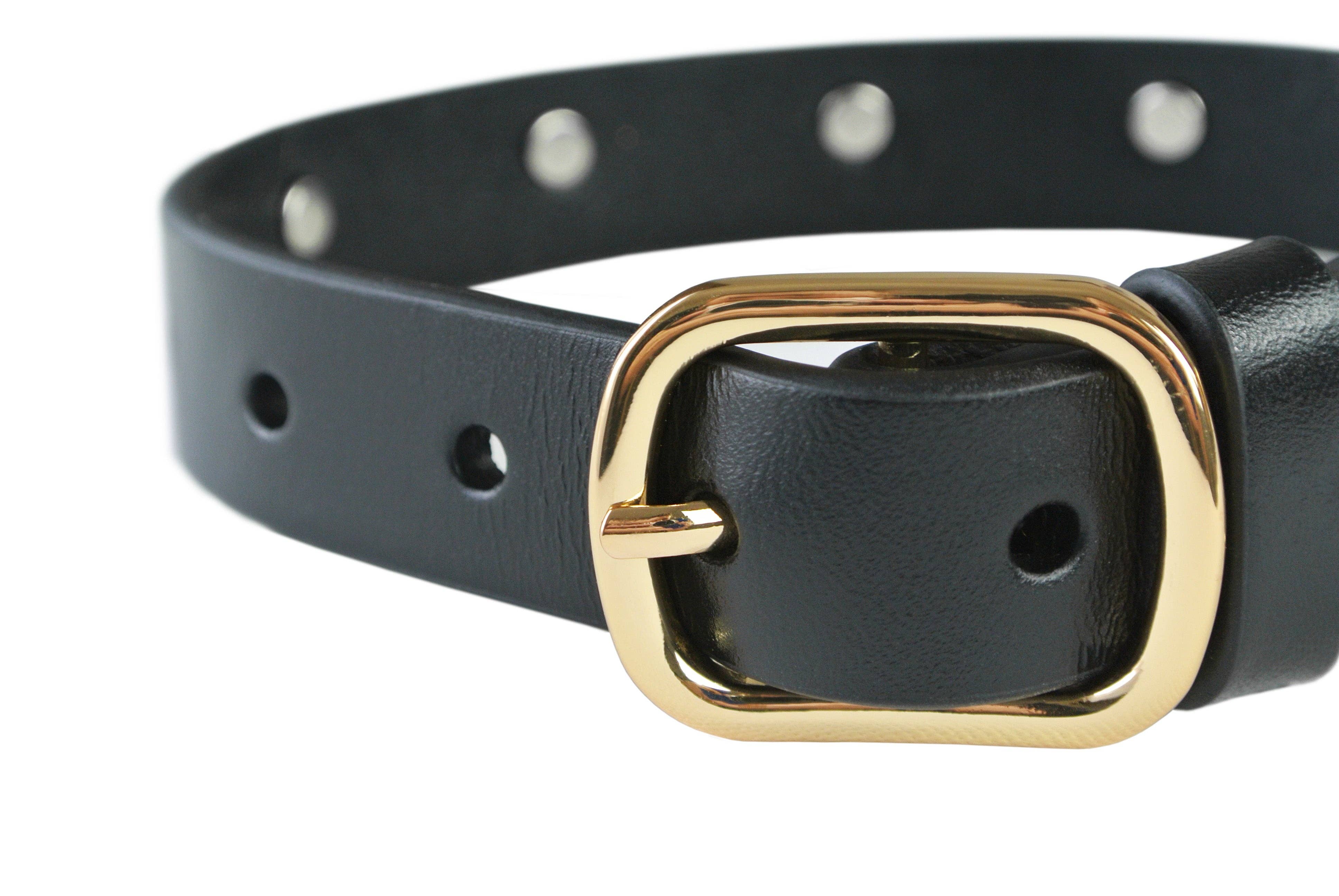 eye of dog - Wholesale Pet Collar - Dog - Lightning Bolt Collar1