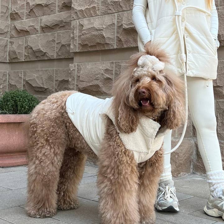 GIGI’S USA - Wholesale Pet Vest - Dog - Comfort Teddy Creamy Cloud Vest2