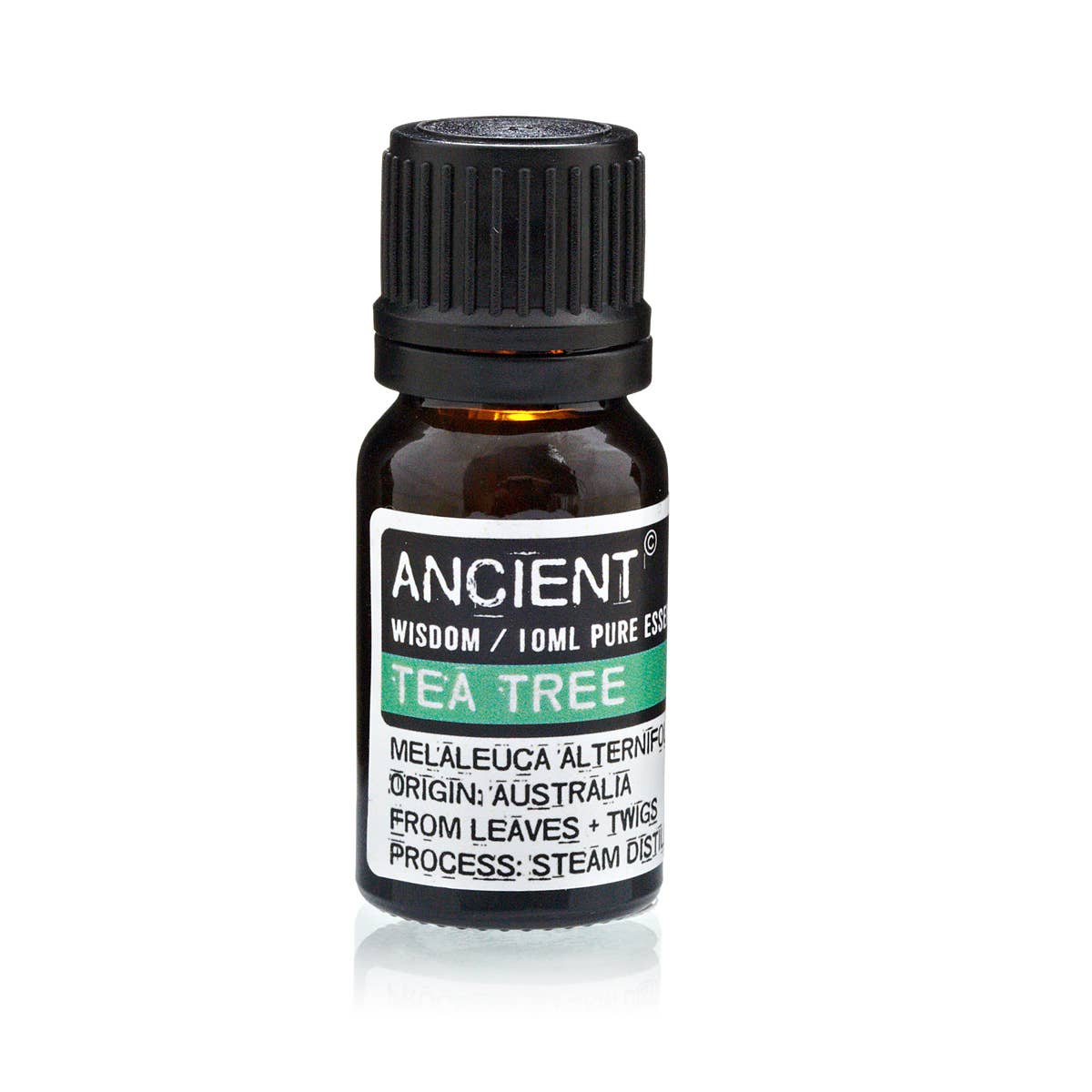 Ancient Wisdom - Wholesale Essential Oil - 10 ml Tea Tree Essential Oil