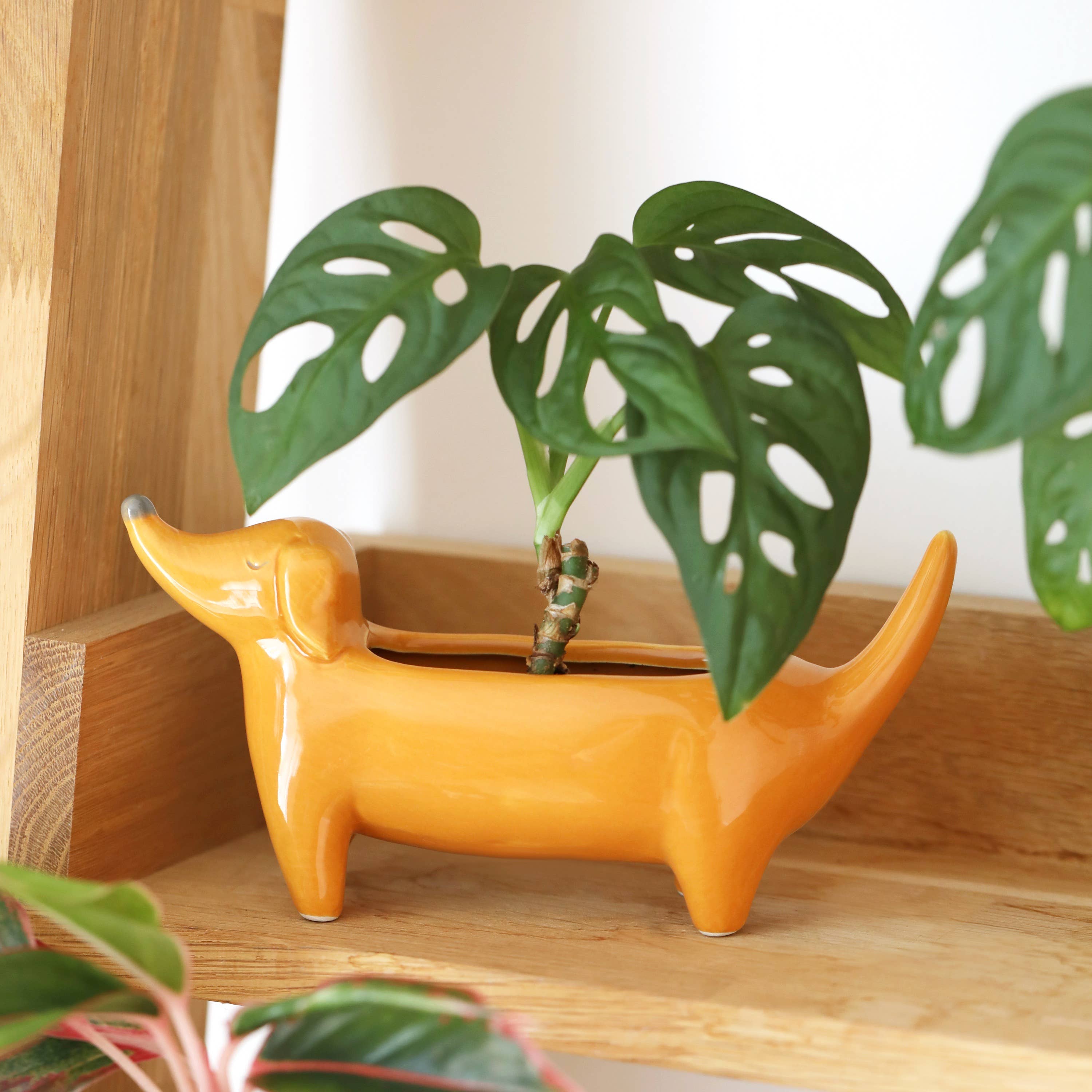 Lisa Angel - Wholesale Plant Pot - Orange Dachshund Standing Dog Planter
