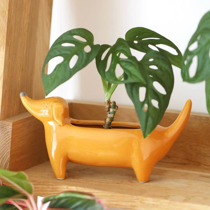 Orange Dachshund Standing Dog Planter for wholesale by Lisa Angel