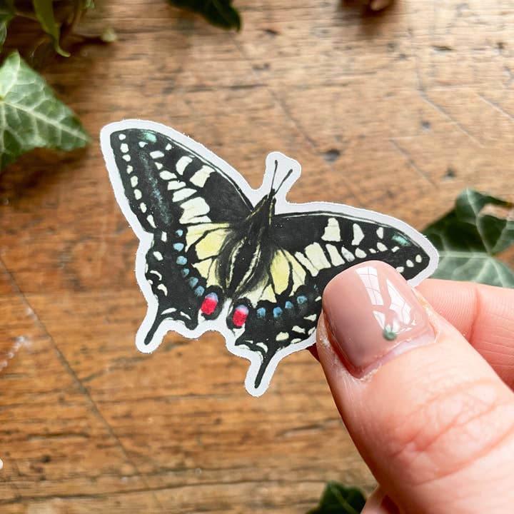 Georgiou Draws - Wholesale Sticker - Entomology Matt Vinyl Sticker Set | Curious Oddities Art